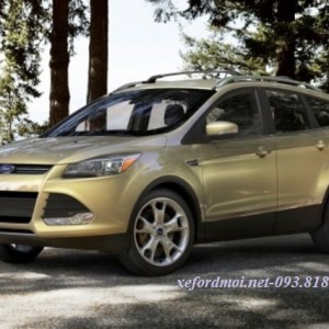 Ford Escape Một Trong 5 Mẫu Xe SUV Cỡ Nhỏ Tốt Nhất